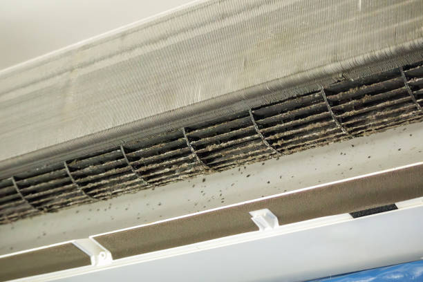 Best Emergency Air Duct Cleaning  in Chino Valley, AZ